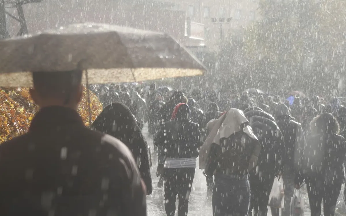 allerta meteo — IT news