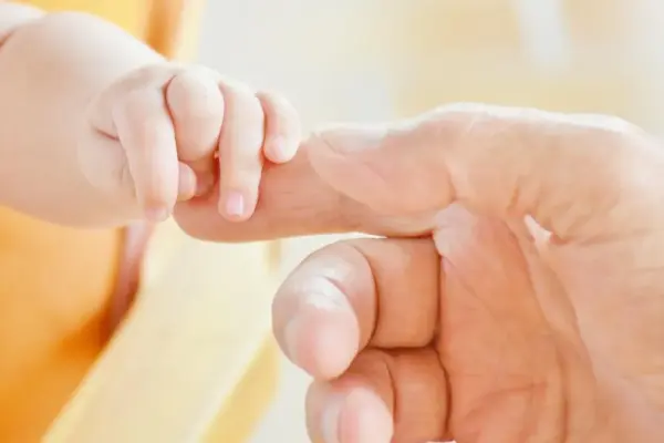 bonus nuovi nati 2026 — IT news