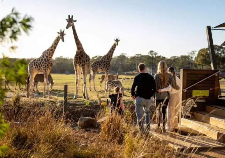 bosconero — IT news