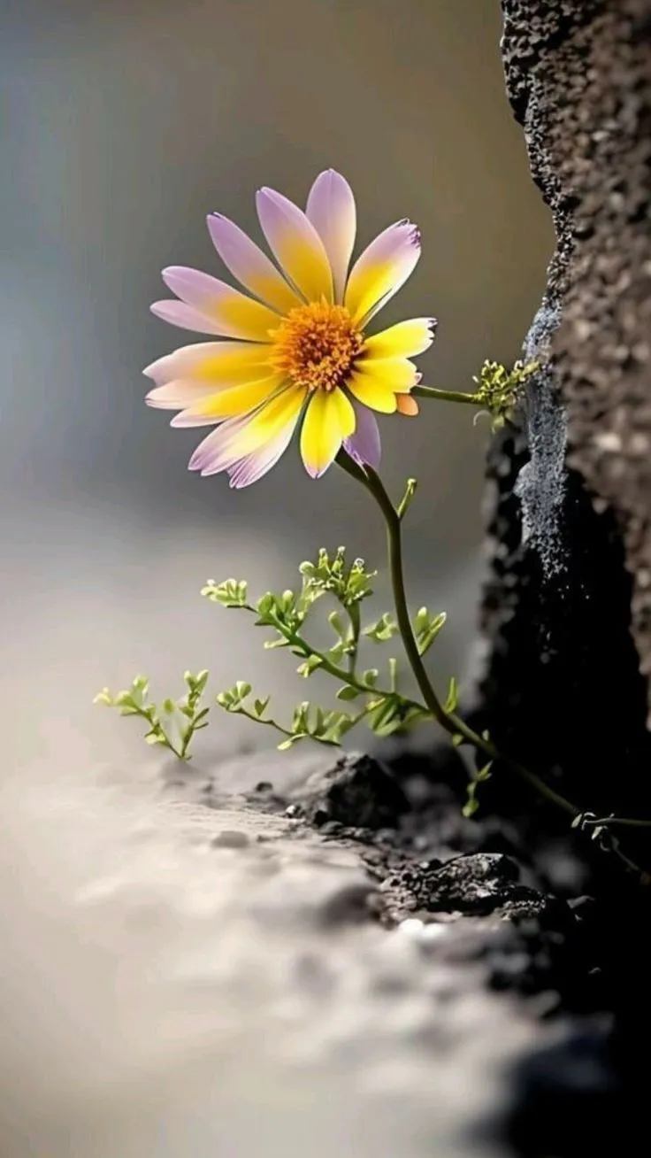 buon venerdì santo 2026 — IT news