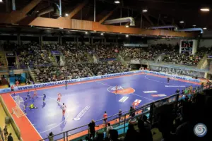 calcio a cinque — IT news