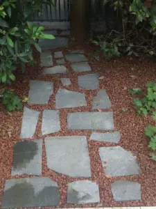 camminare — IT news