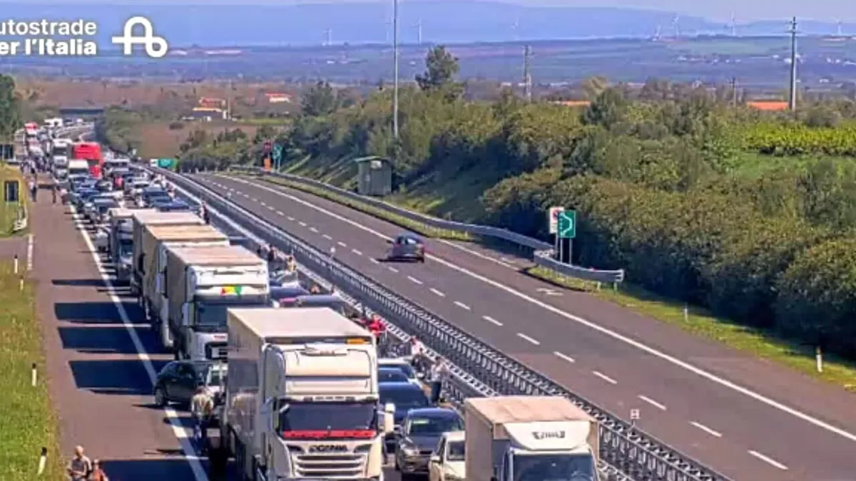 frana petacciato — IT news