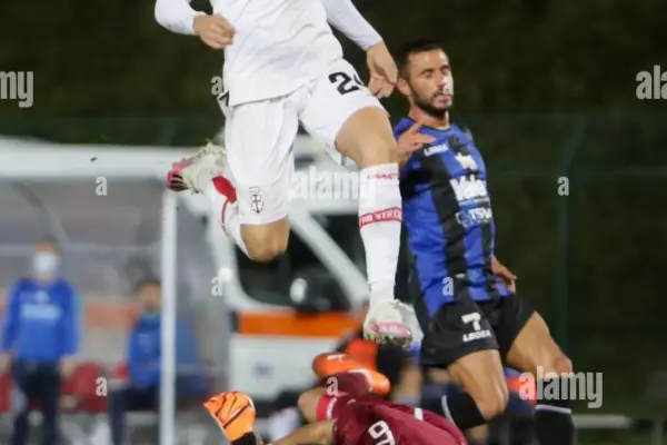 renate - pro vercelli — IT news