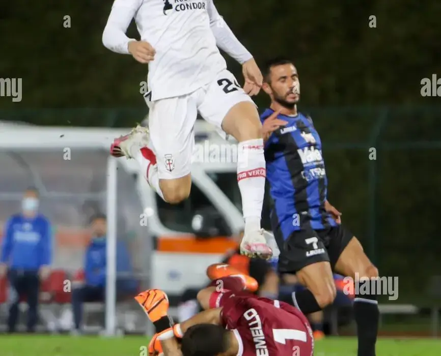 renate - pro vercelli — IT news