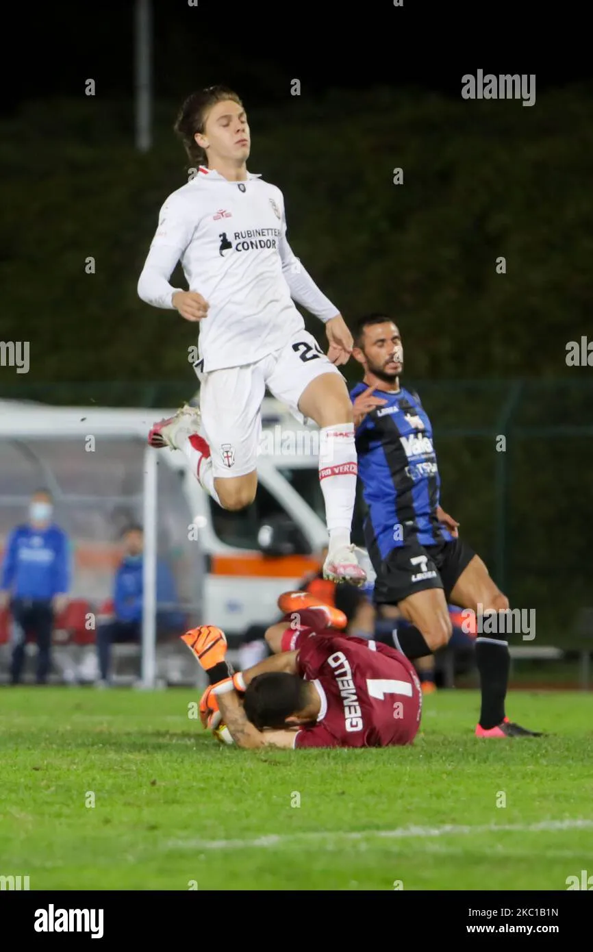 renate - pro vercelli — IT news