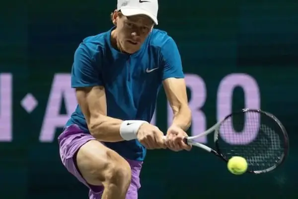 sinner bonzi — IT news