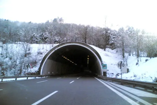 tribunale amministrativo regionale — IT news