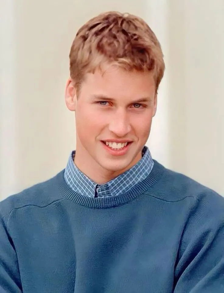 william, principe del galles — IT news