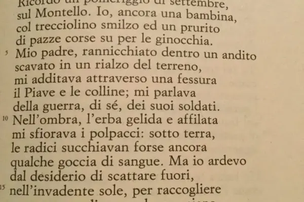 5 maggio — IT news