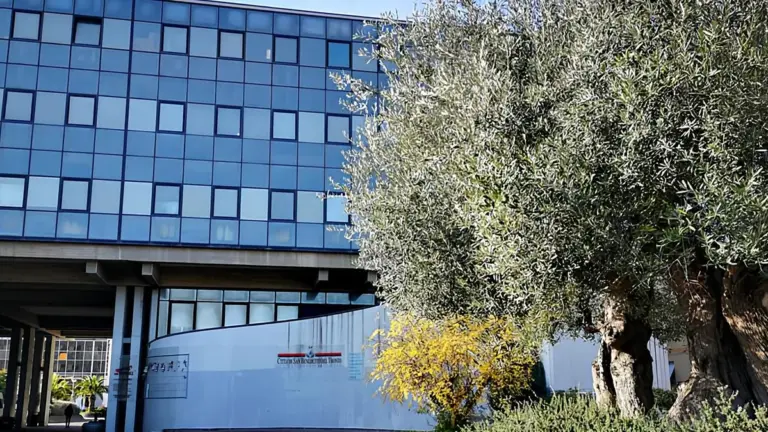 consiglio di stato — IT news